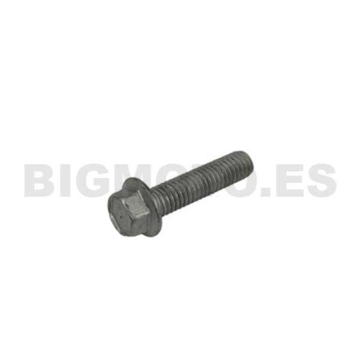 11.50010.000 - Tornillo 6,25 RS CH 8