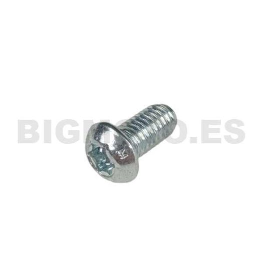 C24.91.002.00.00 - Tornillo 6-12 TORX