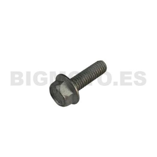 11.46360.000 - Tornillo 5X16 Llave 8rs