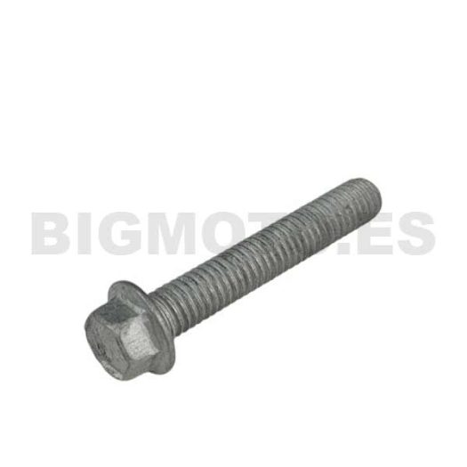 11.50355.000 - Tornillo Anclaje M6X35 RS CH 8