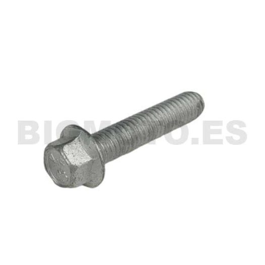 11.50300.000 - Tornillo 6,30 RS CH8