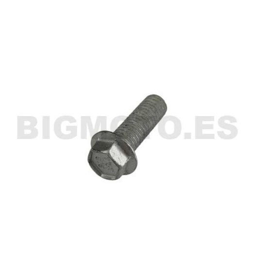 31.64070.000 - Tornillo Especial 8X25 CH10