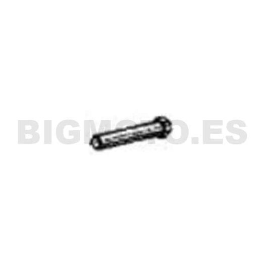 049.33.002.00.00 - Tornillo Especial M10X1,25X55