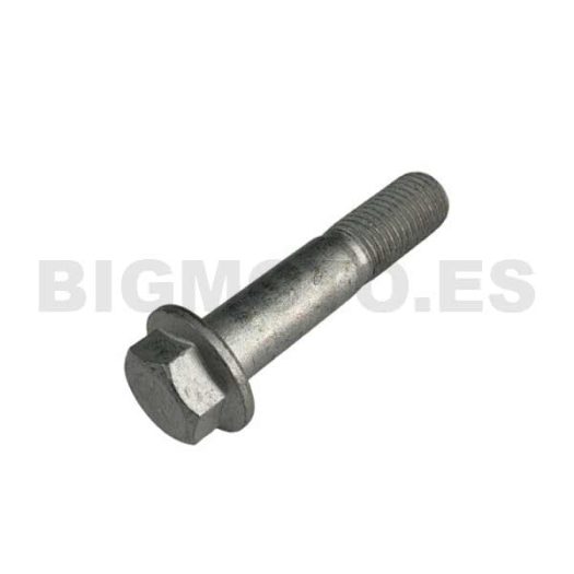 11.62050.000 - Tornillo 10-45