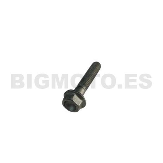 C24.31.042.00.00 - Tornillo 5X25 RS CH8